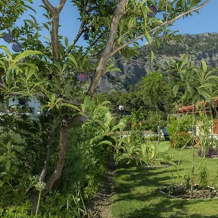 Sandal Hotel *